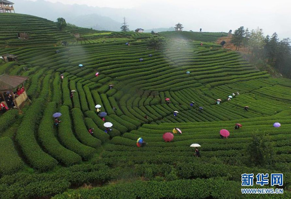 324գڹذ˽壬Ůڲ԰Ħѧϰɲ輼ܡ