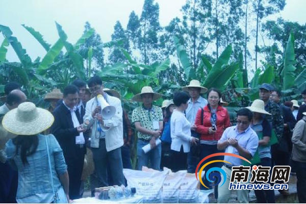 海南在屯昌和澄迈召开耕地改良关键技术工作现场会