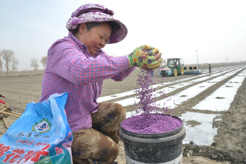 327գ½ŵڶʦʮţһũ׼޻ӡ