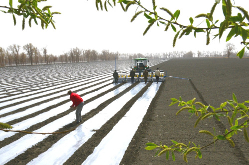 327գ½ŵڶʦʮһ̨Ͳֻڲ޻