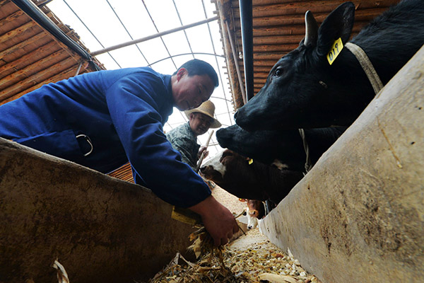 3月23日,在甘肃省渭源县路园镇三河口村,科技特派员马应军(左一)为养殖户进行技术指导。