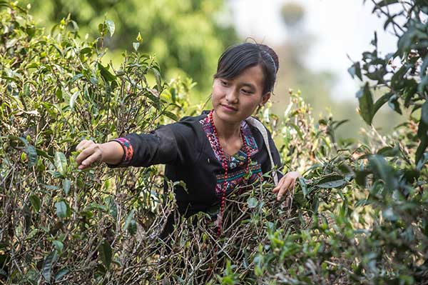 324գ˫ºغؿŲ԰ũڲժ衣