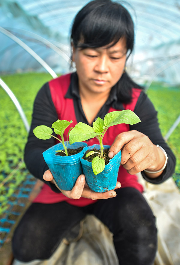 323գ̫ɽޱϲڴڲ鿴ƹ