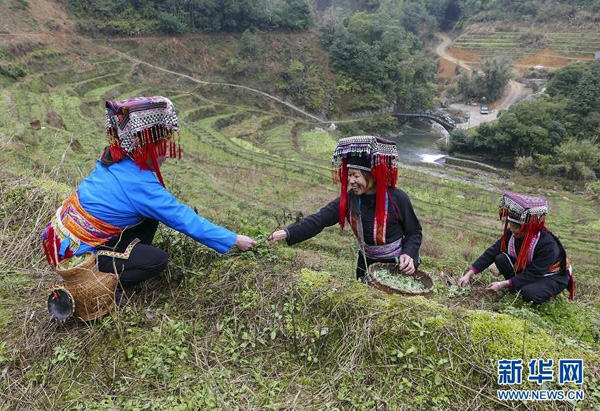 ������ʤ������Ʈ�㴺����կ