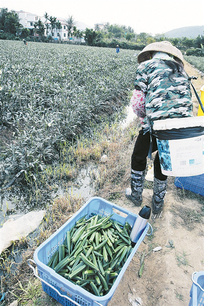 �������ǣ����Ч��� Խ��Խ����