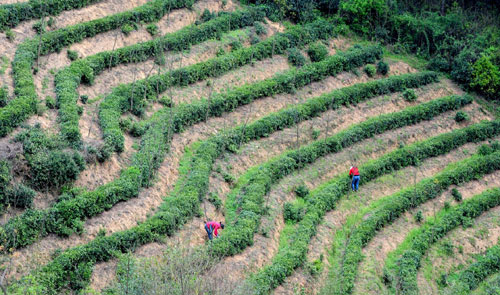 �������أ�������ǰ�ɲ�æ