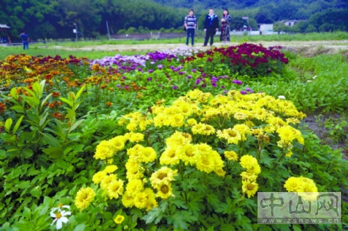 㶫ɽջɽ´ ѷͼ;ȳ