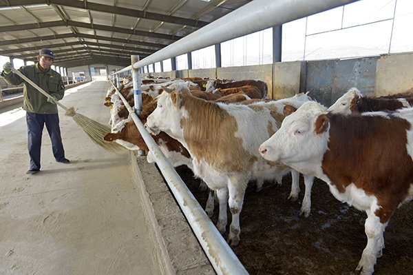 330գũںԭز绪ţɨţֳ