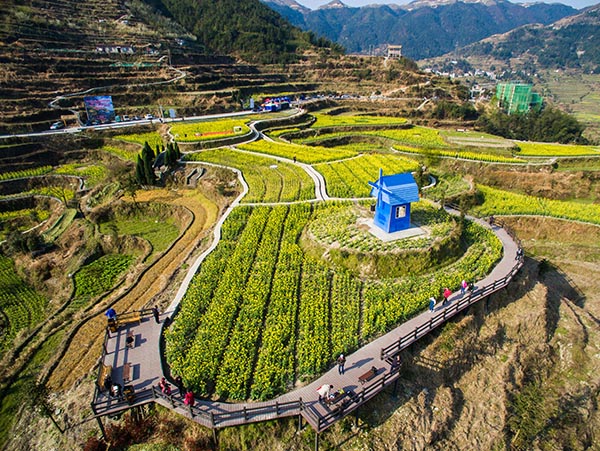 㽭أͲ˻Ÿɽ ̬δɽ塰Ƭ