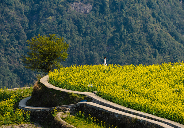 329գһλοڸɽͲ˻С