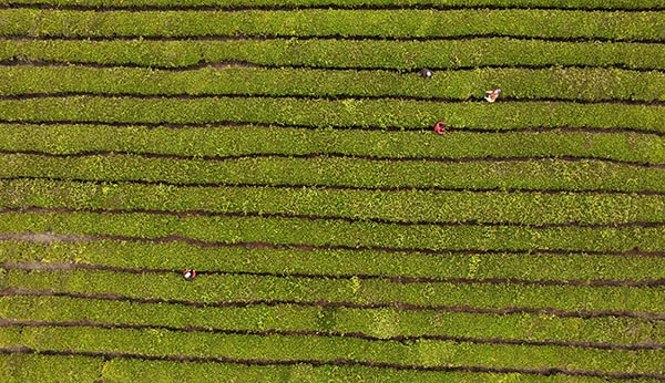 ع賧Ĳ԰ڲɲ裨329㣩ݲ賧˽ܣò賧ֲؽ괺Ʒա