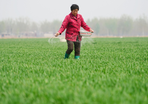 44գӱʡ˳ƽضҢǴũʩʡ