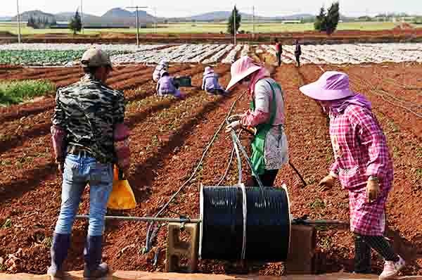 331գʦڲƴũڵŲˮܡ