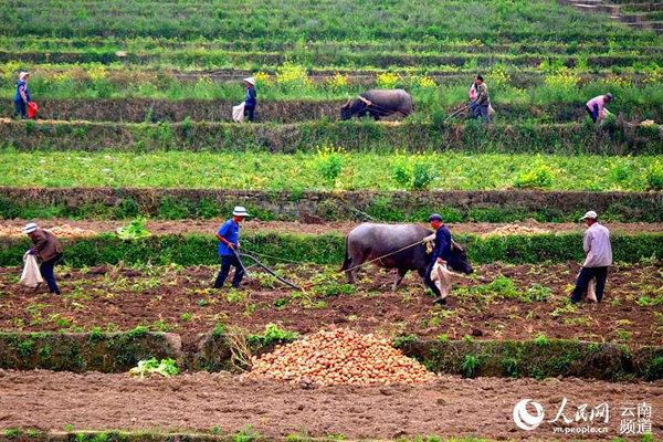 ����ʦ�ڣ���������������������Ⱥ������