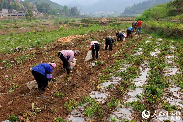 4��1�գ�����ʡ������ʦ��������׳������³ľ��ũ���ڵ����ʰ��������