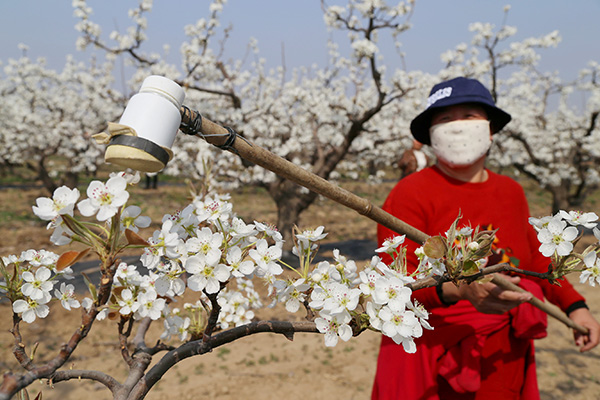 46գӱʡͷŴĹũ԰Ϊ滨˹ڷۡ