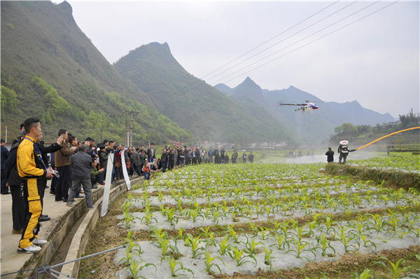 ޵ũҵҵ԰ƶȺڡ¸š