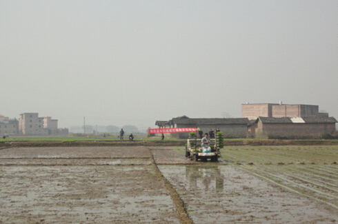 �㶫�������ƹ�ũ�����¼�������չ�ִ�ũҵ