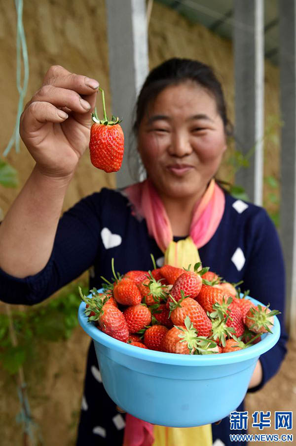 47գٷ԰ֲԱչʾղժĲݮ