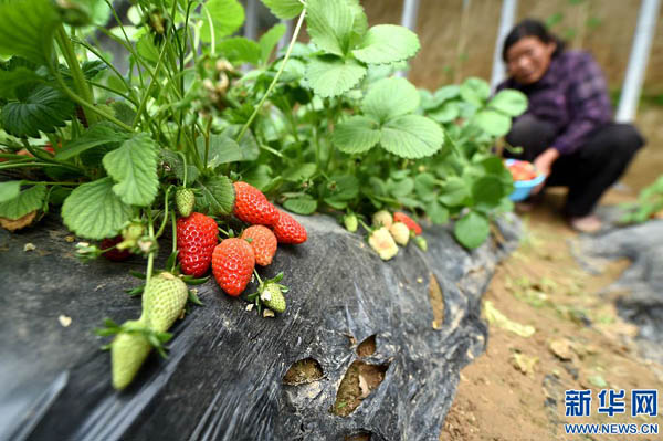 47գٷ԰ֲԱڴڲժݮ