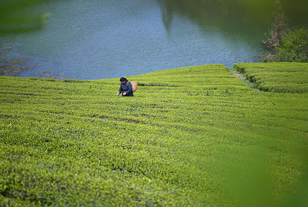 47գũںʡдӴлزժҶ