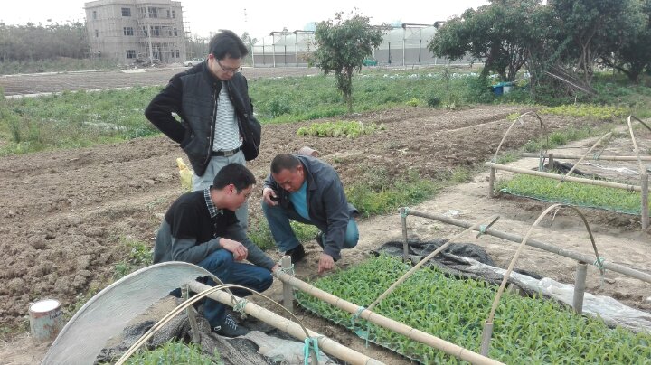 广东惠州:送农技下乡 助春耕生产