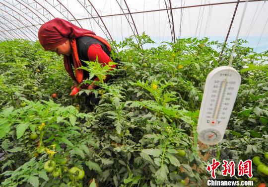 ͱĤṹչҴ߶ȿɴ5ϣֲӣ