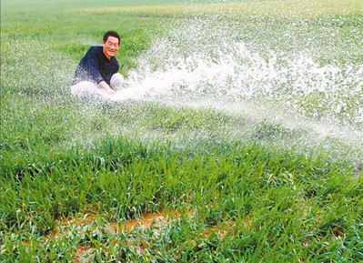 山东齐河县:做好粮食生产的加减法