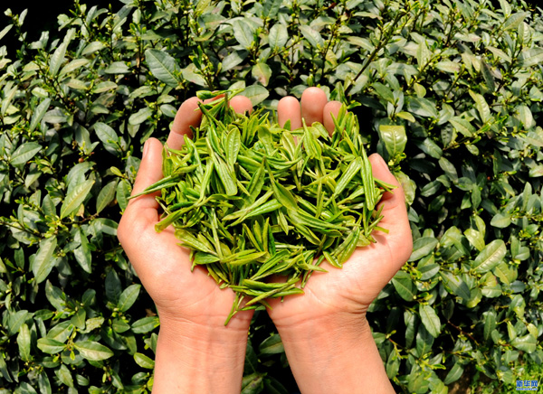 410գӱʡٳض԰ĹչʾողժĲҶ