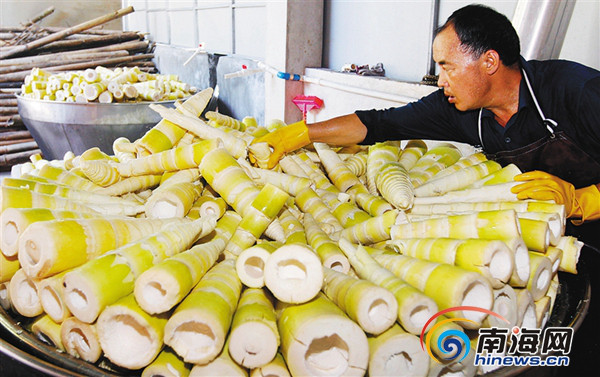 ϣɽˮɳ롰ƶˡ ƶչũ