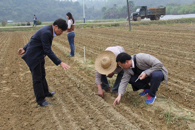 �㶫���ݣ��ƽ�ũ��ũ�ս�� ̽��ˮ��ֱ������