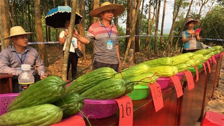 Ͳľ׽Ͻ1.6 ֳ12800Ԫ߼