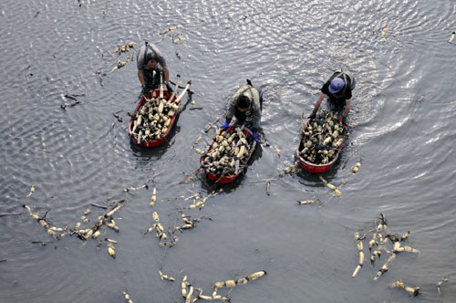 412գɽʡ۰ͷźֲרҵԱڲź