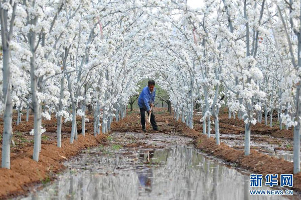 412գɽʡԴ³ɽˮĹũ滨ʢ