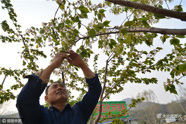 ڲ鿴ӣһ״30侭飬ո໨Ĳڣָơ