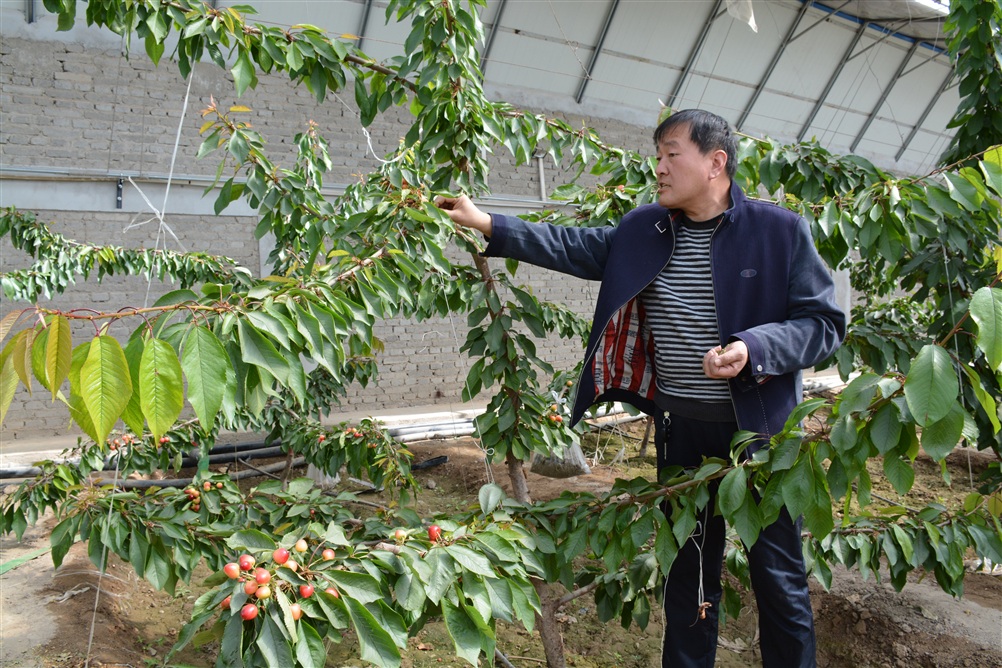 ���������л�������������������ӣ����ֲ����