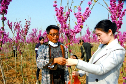 ���Ϲ�ɽ�أ���ɫ��ֲ������