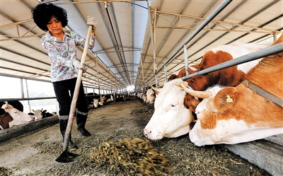 �����Ͳ�ѭ��ũҵ�����̬��ʵ