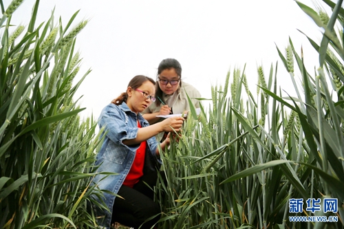 ���ϱ��᣺�������С��������