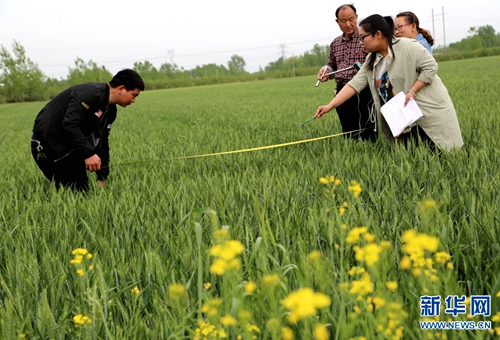 ƽ��ɽ�б������������֯ũ��������Ա��������ͷ��չ��С��ν��ڵ���