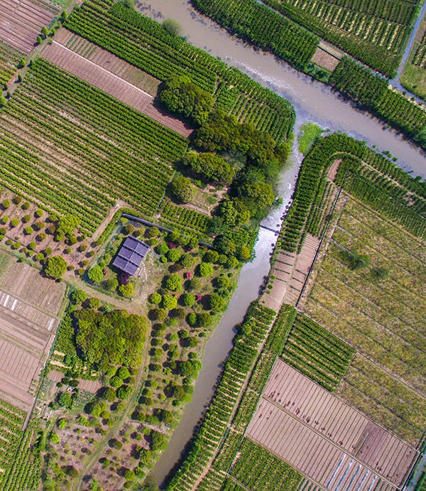 ͩţŴũﶼ͵ɣǣɣ֮缴ɣֳæµڣ417㣩