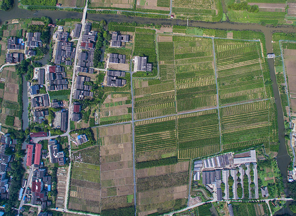 ͩţŴũﶼ͵ɣǣɣ֮缴ɣֳæµڣ417㣩