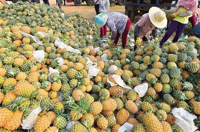 ܼ۸䣺Ӹ߷ڵÿ2.8Ԫÿ1Ԫ