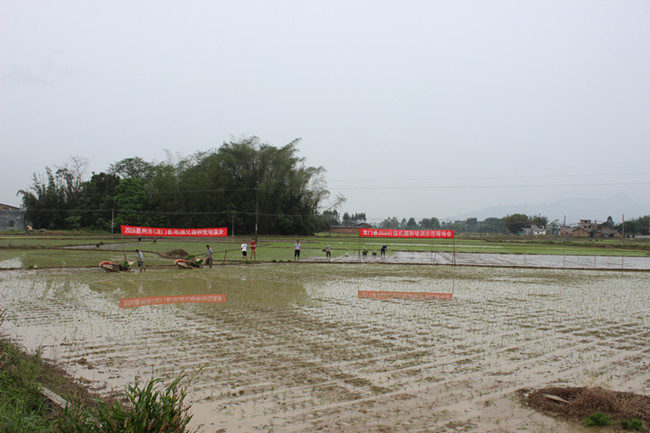 广东惠州多县区举行水稻机械化育插秧整村推进现场会