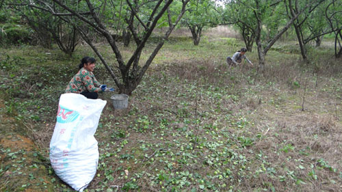 ��������ƽ�𣺹�����÷ϲ�����