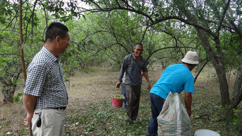 ��������ƽ�𣺹�����÷ϲ�����