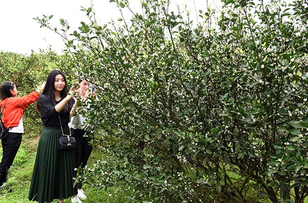 οϷɽ塰۱԰԰ͻ419㣩