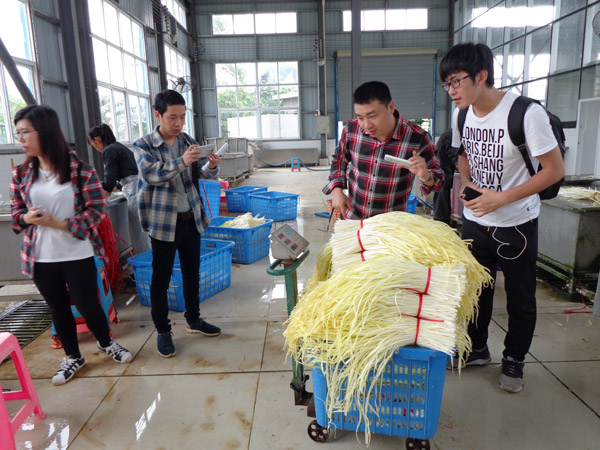 ֺͼκרھ»ϴѡֳ»Ʋϴӹװ