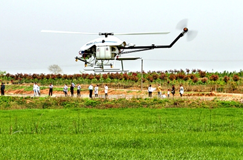 ���Ϲ�ɽ������ֲ���� �ִ��������������Ч��