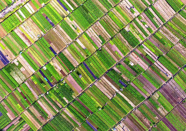 Ĳ԰212㣩ʮ塱ڼ䣬ݼ٣Ϊ˷ḻǵĲӣϺĲũǰѳǽ깵չֲ߲γĳǱߴ